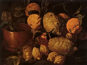 Giovan: Citrus Fruit and Copper pail with Articoke