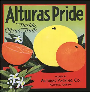 Citrus Fruit Label