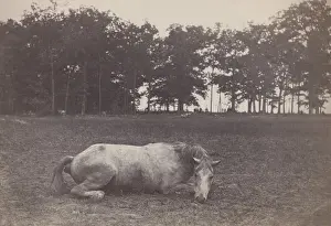 Antietam: US Civil War. Battle of Antietam, also called