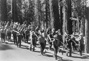 Saws: Civilian Conservation Corps (CCC) work force in
