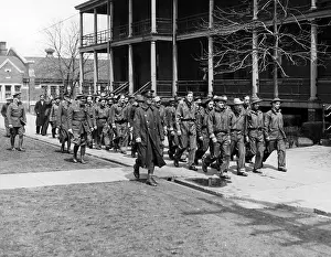Unemployed: Civilian Conservation Corps: Roosevelt Forest