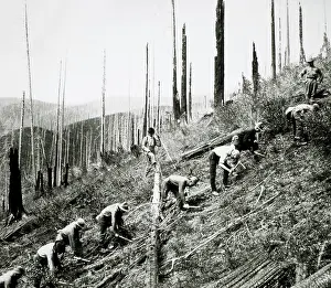 Unskilled: Civilian Conservation Corps Workers