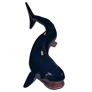 Slender: Cladoselache shark from the Devonian period