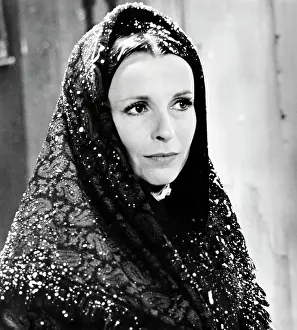 Distributors: Clair Bloom - actress - celebrity