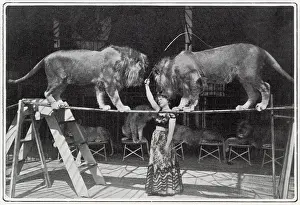 Heliot: Claire Heliot, lion tamer