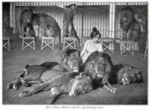 Tamers: Claire Heliot and her performing lions 1903