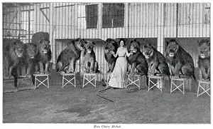 Tamers: Claire Heliot and her performing lions 1903