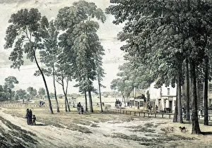 Strollers: CLAPHAM COMMON