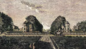 Akerman: CLAPHAM COMMON