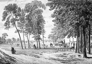 Enjoyed: CLAPHAM COMMON