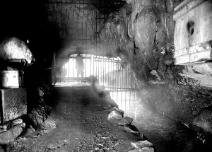 Ingleborough: Clapham, Ingleborough Cave c1950