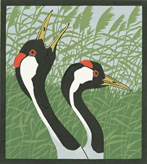 Clarion: Clarion Crane
