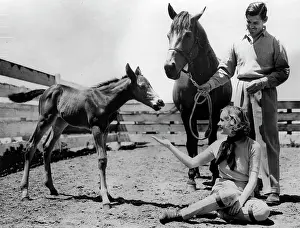 Gables: Clark Gable and Carole Lombard