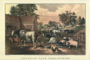 Barnyard: Classic Barnyard