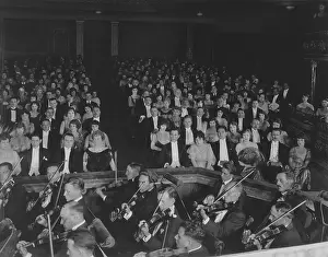 Violinists: Classical concert