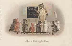 Faulkner: Classroom Cats