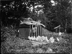Speldhurst: Clayton's Farm, Speldhurst, Tunbridge Wells, Kent