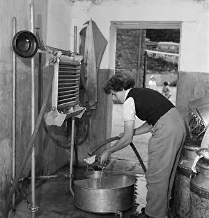 Ferrers: Cleaning milk equipment