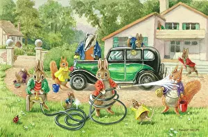 Badgers: Cleaning Mr Badger's Car - rabbits etc