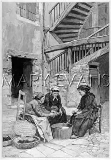 Truffles: CLEANING TRUFFLES 1893