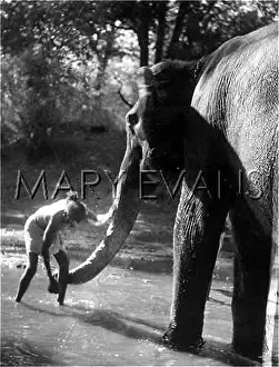 Rajahs: CLEANING A TRUNK