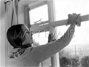 Wipes: CLEANING WINDOWS