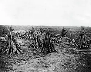 Neat: Clearing up a battlefield after an advance, WW1