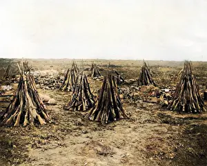 Stacked: Clearing up a battlefield after an advance, WW1