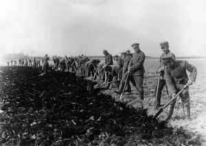 Peat: Clearing of moorland by prisoners, 1915