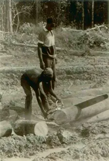 Communes: Clearing Rain Forest to create fields in ?