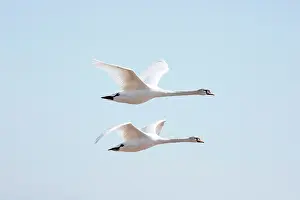 Cleethorpes: Cleethorpes Beach, Cleethorpes, North East Lincolnshire