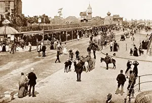 Cleethorpes: Cleethorpes The Promenade early 1900s