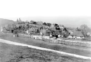 Cleeve: Cleeve Hill, c1955