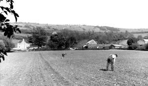 Cleeve: Cleeve Hill, c1960