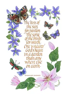 Pardon: Clematis and Butterflies with Verse