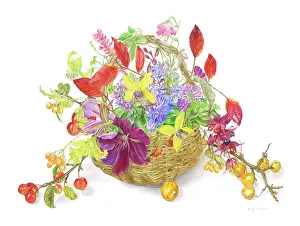 Clematis: Clematis, Hebes, Cherries, Crab Apples etc