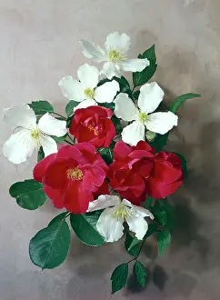 Clematis: Clematis and Red Roses