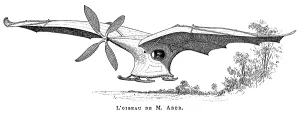Clement: Clement Ader's flying bird Eole (Aole). Wingspan