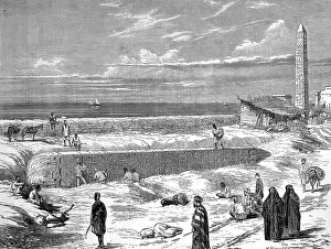 Thothmes: Cleopatra's Needle, Alexandria