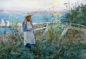 Meynell: The Cliff Top Garden