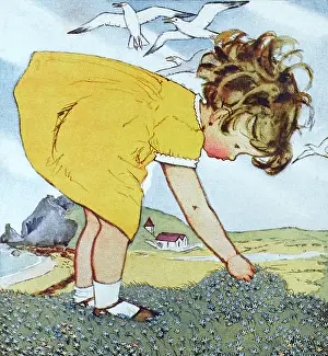 Muriel Dawson Collection: On the Cliff-Top by Muriel Dawson