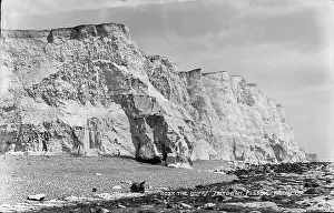 Chalk: The Cliffs at Saltdean