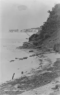 Seaweed: Cliffs at Studland Bay