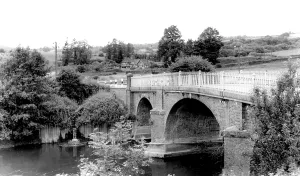 Teme: Clifton Upon Teme, Ham Bridge, River Teme c1965
