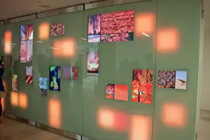Interactive: Climate Change Wall