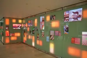 Interactive: Climate Change Wall