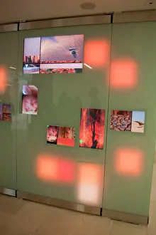 Interactive: Climate Change Wall