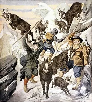 Intrusion: CLIMBERS AND CHAMOIS