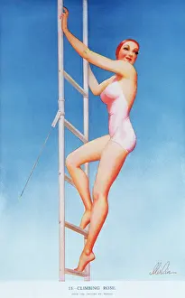 Voluptuous: Climbing rose by Merlin Enabnit