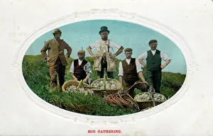 Flamborough: The Climmers - Sea Bird Egg Gathering, Flamborough, Yorkshir